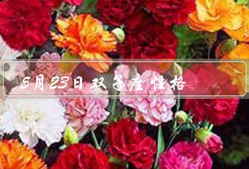 5月23日双子座性格（独立自主、善于交际、冲动和不稳定）
