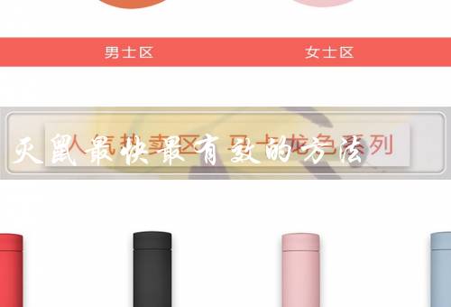 灭鼠最快最有效的方法，物理灭鼠、化学灭鼠、生物灭鼠