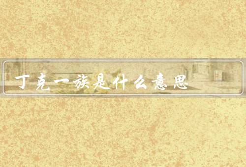 丁克一族是什么意思，定义、特点、原因和影响