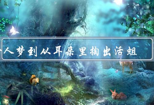 女人梦到从耳朵里掏出活蛆，梦境的解读／情感方面的解读