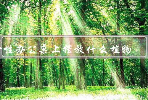 女性办公桌上摆放什么植物（绿色植物、多肉植物、花卉植物）