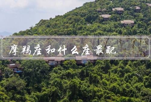 摩羯座和什么座最配，相容性／互补之处