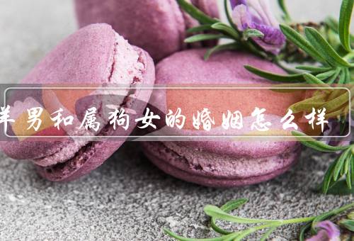 属羊男和属狗女的婚姻怎么样（温柔体贴／互相支持／共同成长）