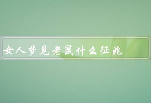 女人梦见老鼠什么征兆，受到威胁的感觉／财富和机会