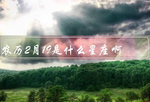 农历2月19是什么星座啊，特点／优点／缺点