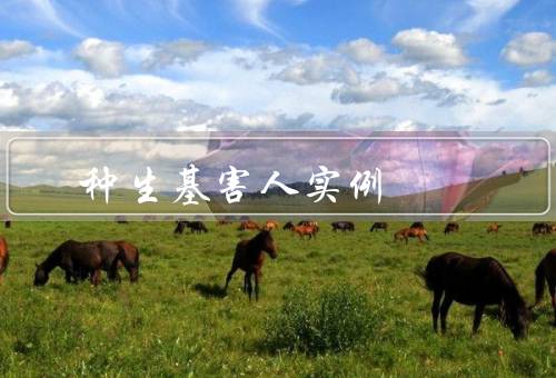种生基风水害人实例（公共区域的种生基风水／住宅的种生基风水）