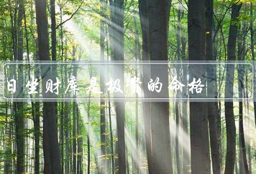 日坐财库是极贵的命格，日坐财库的特点／财运旺盛