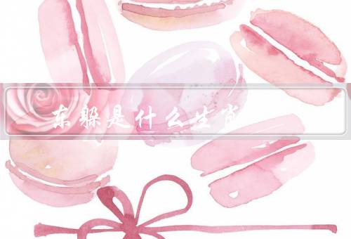 东躲西藏是什么生肖，东躲西藏、特点、运势
