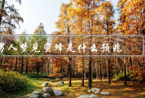 男人梦见蜜蜂是什么预兆（工作方面的困扰、人际关系上的挑战）