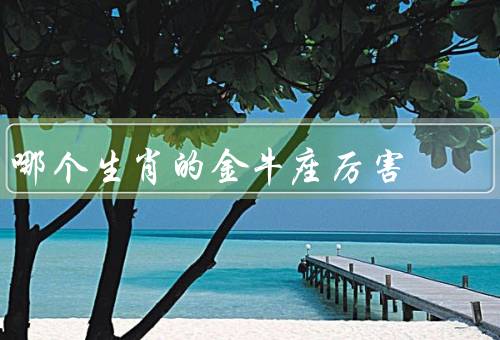 哪个生肖的金牛座厉害（坚韧不拔／稳重可靠／财务管理能力强）