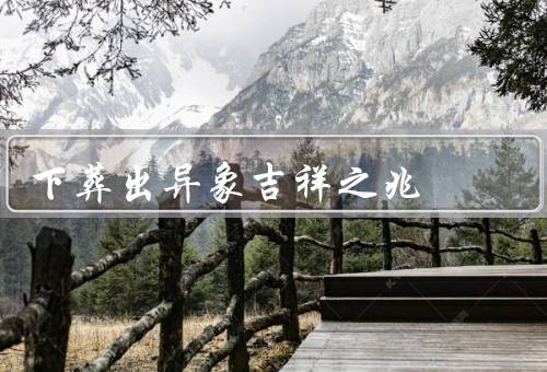 下葬出异象吉祥之兆，死者欢笑／花开富贵／白鸽翱翔