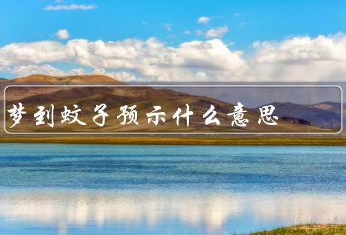 梦到蚊子预示什么意思（象征意义／预示／解梦建议）
