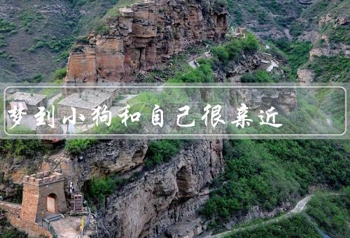 梦到小狗和自己很亲近（小狗的出现、亲密的时刻、珍贵的回忆）
