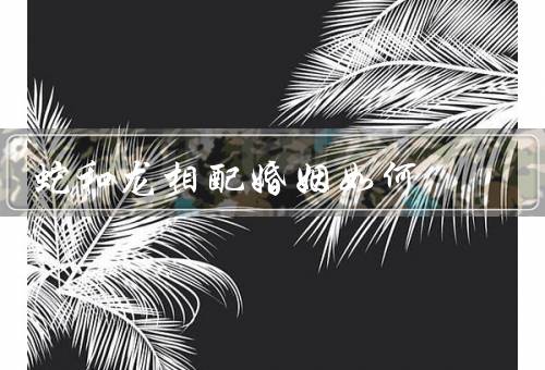 蛇和龙相配婚姻如何，相似之处／相互补充／象征意义