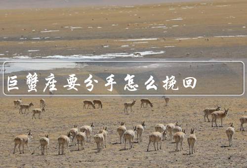 巨蟹座要分手怎么挽回（沟通是关键／展示你的改变／重建信任）