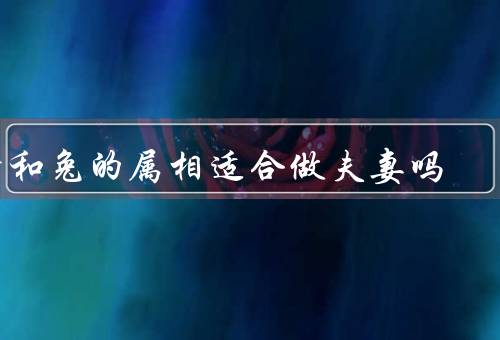 猪和兔的属相适合做夫妻吗，吸引／性格互补／包容
