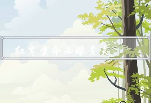 红鸾坐命必嫁贵夫（意义／与贵夫的关系／如何利用）