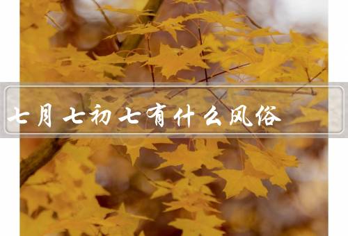 七月七初七有什么风俗，牵牛织女的故事／乞巧节／星空下的祈愿