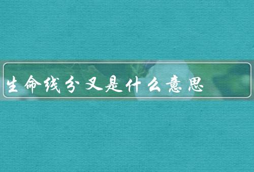 生命线分叉是什么意思（意义、解读、影响）