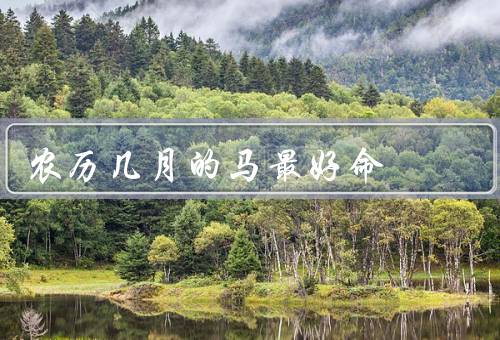 农历几月的马最好命（九月／五月／一月）