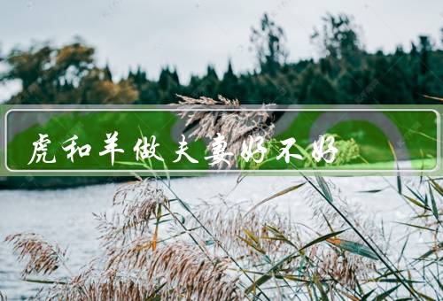 虎和羊做夫妻好不好