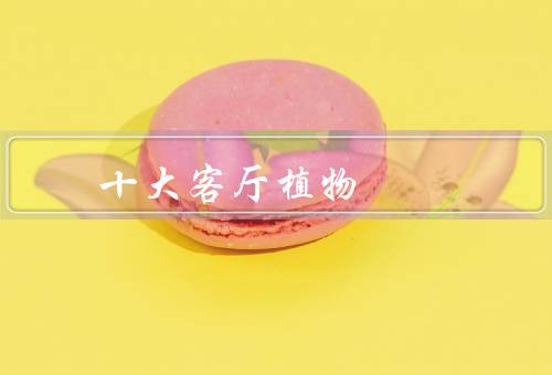 十大客厅风水植物（常春藤、吊兰、龙舌兰）