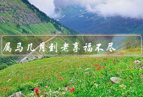 属马几月到老享福不尽，早年的奋斗／中年的收获／晚年的满足