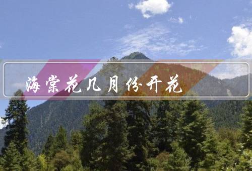 海棠花几月份开花，春季开花／秋季开花／其他季节