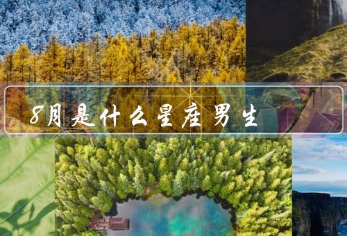 8月是什么星座男生（性格特点、爱情观、职业发展）