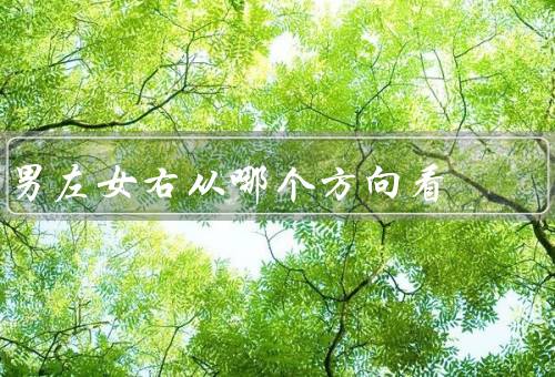 男左女右从哪个方向看（男性的不同特点、女性的不同特点）