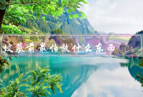 坟墓前最怕放什么东西，花瓶／贵重物品／食物和饮料