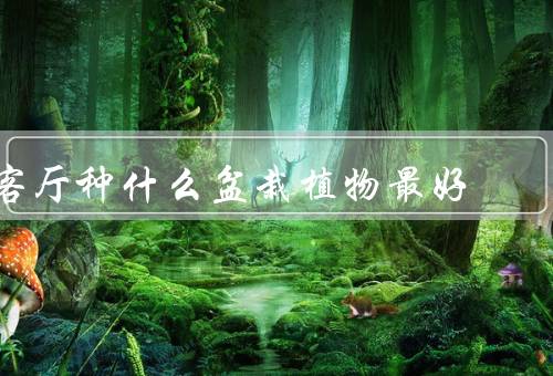 客厅种什么盆栽植物最好（绿萝／吊兰／常春藤）