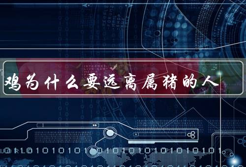 属鸡为什么要远离属猪的人（性格差异／生活方式差异）