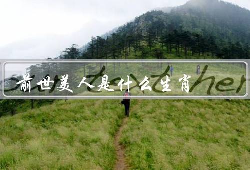 前世美人是什么生肖