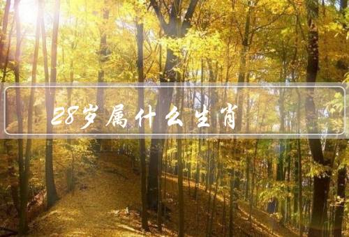 28岁属什么生肖，自信勇敢、机智聪明、灵活多变