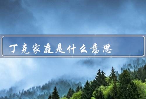 丁克家庭是什么意思（背景／优势／挑战）