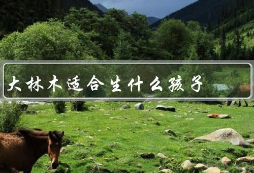 大林木适合生什么孩子（经济孩子、生态孩子、多功能孩子）