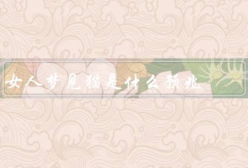 女人梦见猫是什么预兆，神秘和直觉、独立和自主、敏锐和灵敏