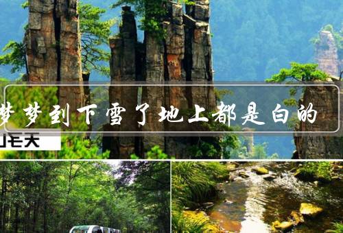 做梦梦到下雪了地上都是白的，梦境的开始／洁白的世界／快乐的时光