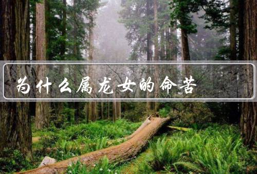 为什么属龙女的命苦，教育观念的改变／职业发展机会增加