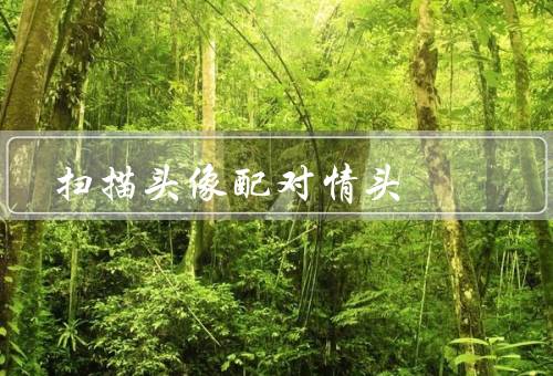 扫描头像配对情头（背景／原理／应用）