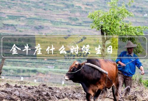 金牛座什么时候生日（个性特点／爱情观／事业发展）