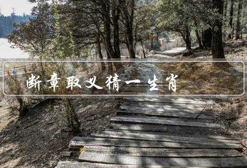断章取义猜一生肖，断章取义／全面了解／了解文化背景
