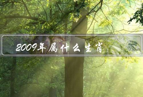 2009年属什么生肖，特点、事业与财富、爱情和家庭