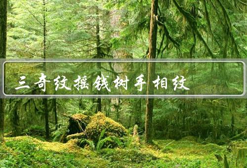三奇纹摇钱树手相纹，形状、含义、如何提升能量