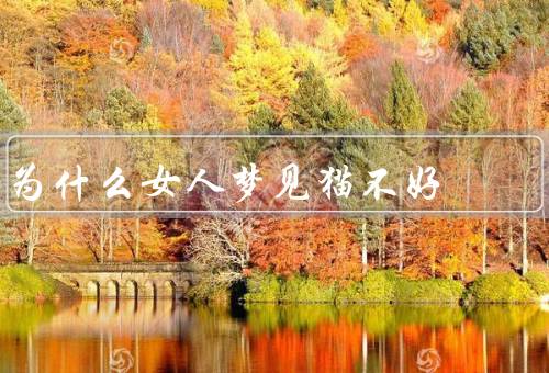 为什么女人梦见猫不好（代表抑郁和孤独、暗示不信任和背叛）