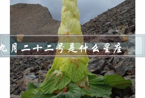 九月二十二号是什么星座（天秤座的特点／九月二十二号出生的人）