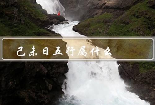 己未日五行属什么（己未日五行属土／稳定和安全／示例活动）