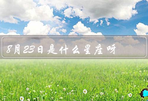 8月23日是什么星座呀，狮子座／处女座／重新写一篇文章