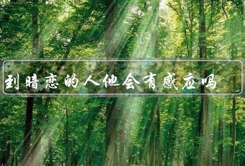 梦到暗恋的人他会有感应吗，梦境的含义／心理投射的作用